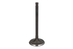 Parsun Intake Valve(F25-05050001)